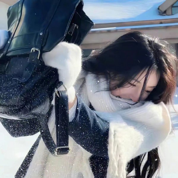 美国鸟类